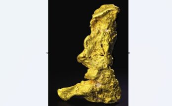 Boot of Cortez: The Largest Gold Nugget Ever Discovered