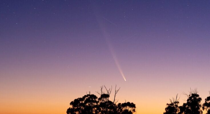 Comet Tsuchinshan–ATLAS