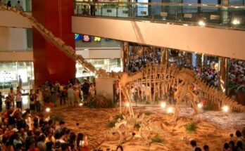 Dinosaur fossils on display, Hong Kong