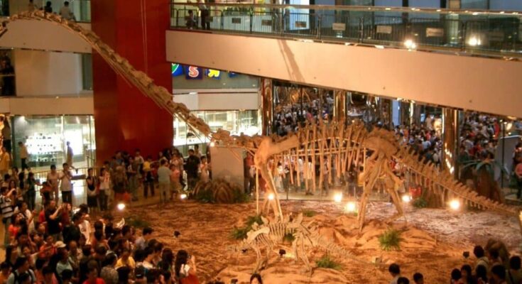 Dinosaur fossils on display, Hong Kong