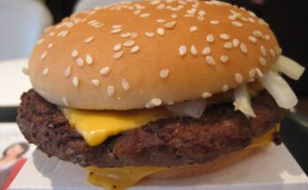 McDonald's Quarter Pounder linked to E. coli outbreak