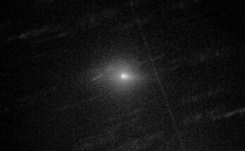 The Halloween comet, C/2024 S1, captured by a 0.43-m telescope