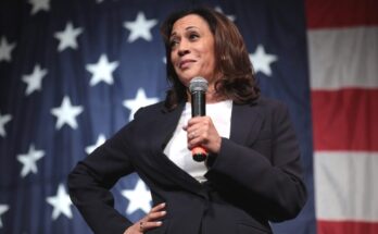 Kamala Harris Call Her Daddy