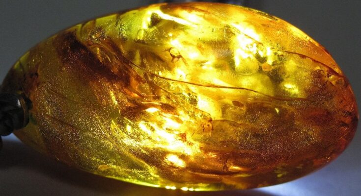 Amber jewelry was a symbol of power and social status among the Mycenaeans