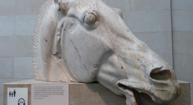 Elgin Marble Horse Museum Of London