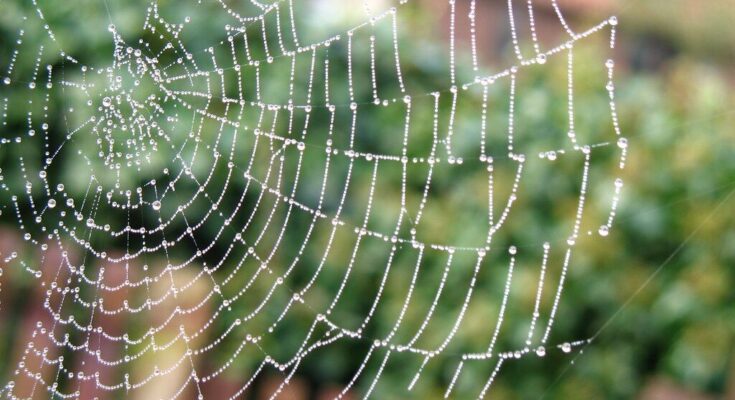 Researchers developed spider-mans web-slinging technology.