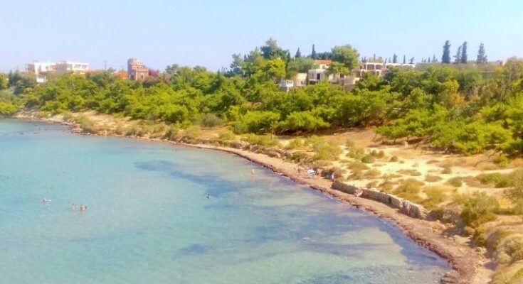 Swimming Among the Ruins of a Glorious Ancient Greek Military Harbor