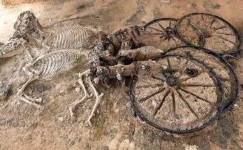 The Ancient Greek Grave Where the Rich Were Buried With Horses, Chariots