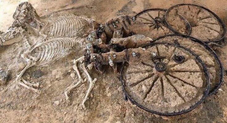 The Ancient Greek Grave Where the Rich Were Buried With Horses, Chariots