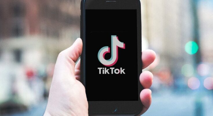 US House of Representatives has passed a bill which may see TikTok banned from the country.