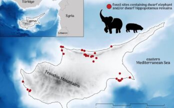 Map of Cyprus fossil sites of dwarf elephants and hippos.